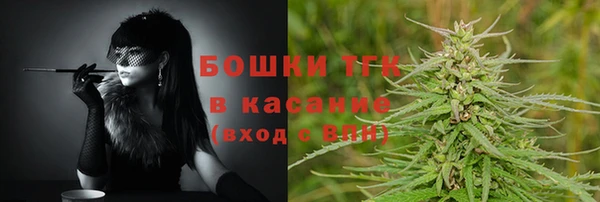шишки Майский
