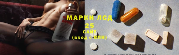 шишки Майский
